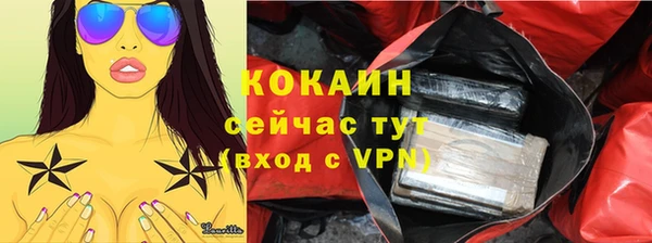 спайс Гусев