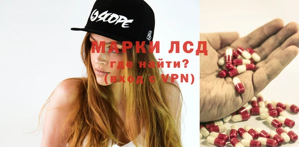 спайс Гусев