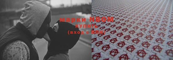 мдпв Гусь-Хрустальный