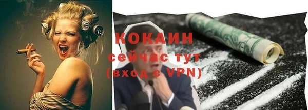 спайс Гусев