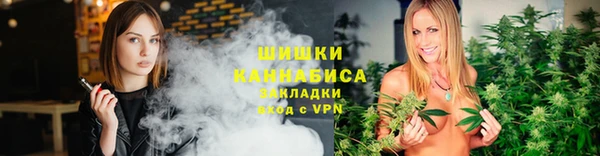 мдпв Гусь-Хрустальный