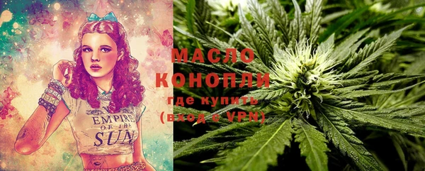 спайс Гусев