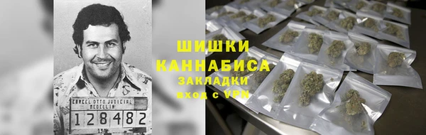 мдпв Гусь-Хрустальный