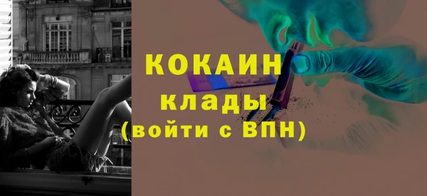 спайс Гусев