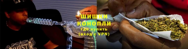 мдпв Гусь-Хрустальный