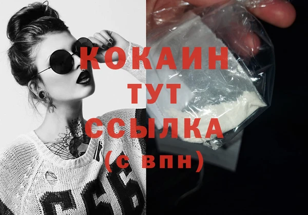 мдпв Гусь-Хрустальный