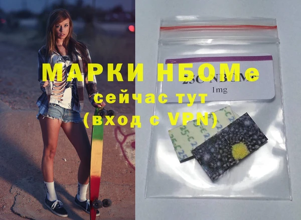мдпв Гусь-Хрустальный