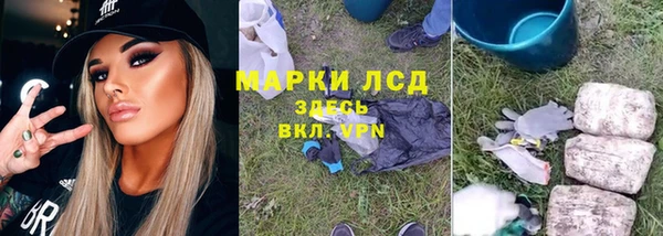 спайс Гусев