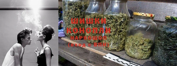 спайс Гусев
