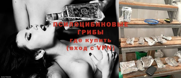 мдпв Гусь-Хрустальный