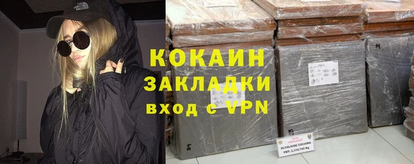 мдпв Гусь-Хрустальный
