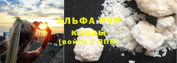 спайс Гусев