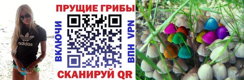 Галлюциногенные грибы ЛСД Удомля