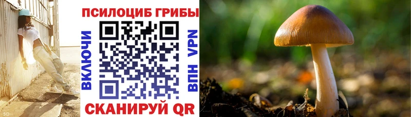 Псилоцибиновые грибы MAGIC MUSHROOMS  Купить  Удомля 